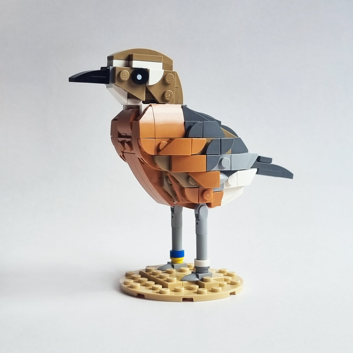 Pukunui | Southern NZ Dotterel (Female) Brick Kit