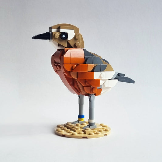Pukunui | Southern NZ Dotterel (Male) Brick Kit