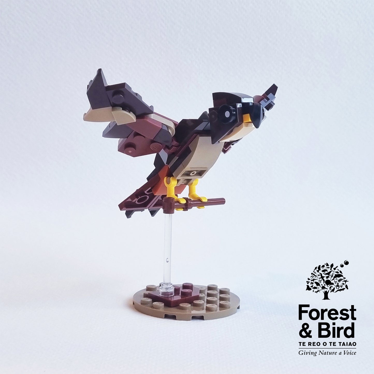 Kārearea Brick Kit | Forest & Bird Collab